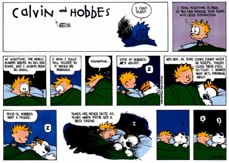 Calvin-and-Hobbes-Night-Time